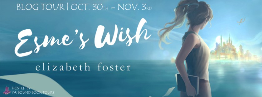 Esme's Wish tour banner