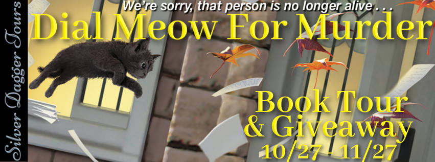 meow banner